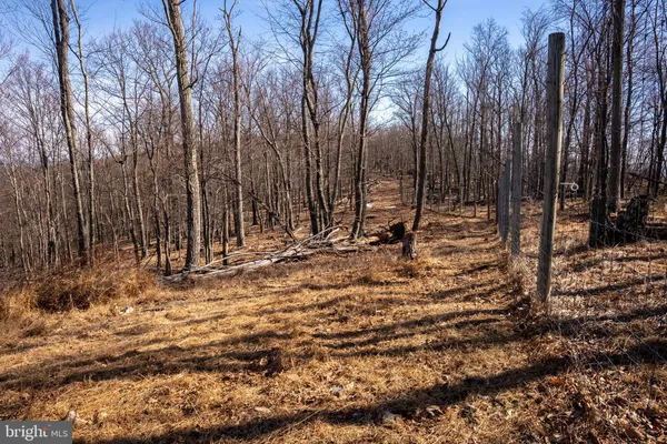 $1,650,000 | 500 Lexington Drive, Romney, WV 26757