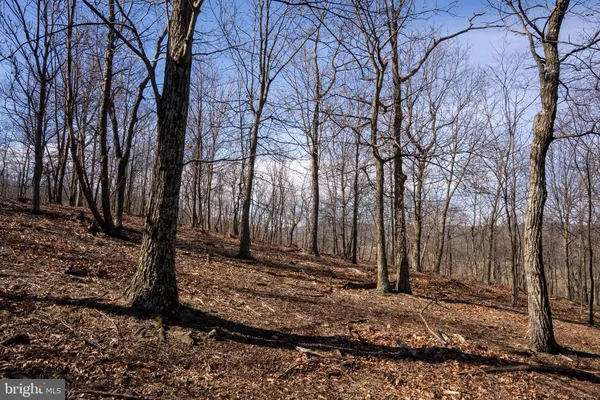 $1,650,000 | 500 Lexington Drive, Romney, WV 26757