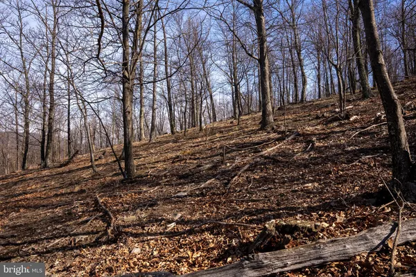 $1,650,000 | 500 Lexington Drive, Romney, WV 26757