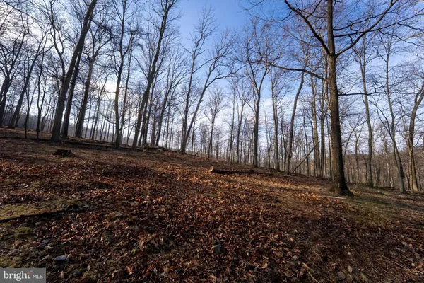 $1,650,000 | 500 Lexington Drive, Romney, WV 26757