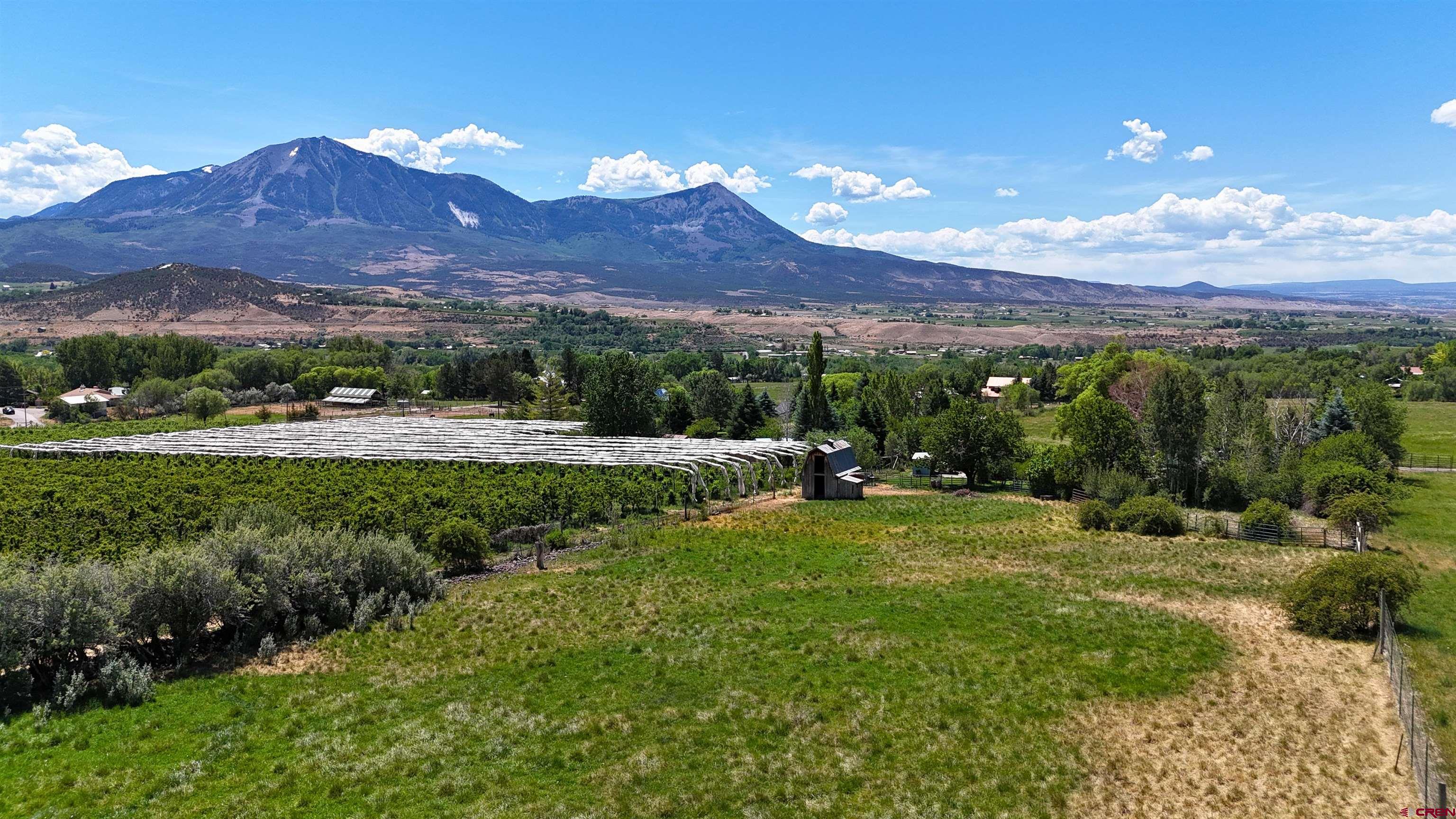 39389 Pitkin Road Paonia, CO 81428 - Photo 31 of 34