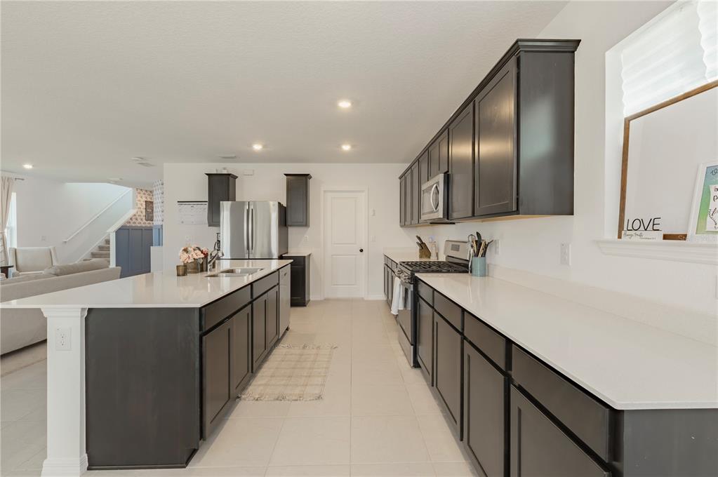 20864 Cherry River Road Land O' Lakes, FL 34638 - Photo 14 of 48 a large kitchen with a large counter top sink stainless steel appliances and cabinets