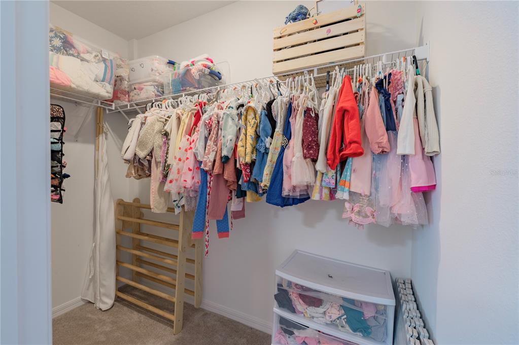 20864 Cherry River Road Land O' Lakes, FL 34638 - Photo 30 of 48 a view of walk in closet with clothes