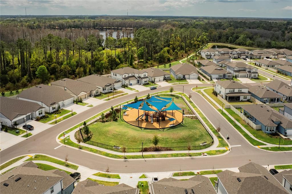 20864 Cherry River Road Land O' Lakes, FL 34638 - Photo 46 of 48 a view of a swimming pool with a yard