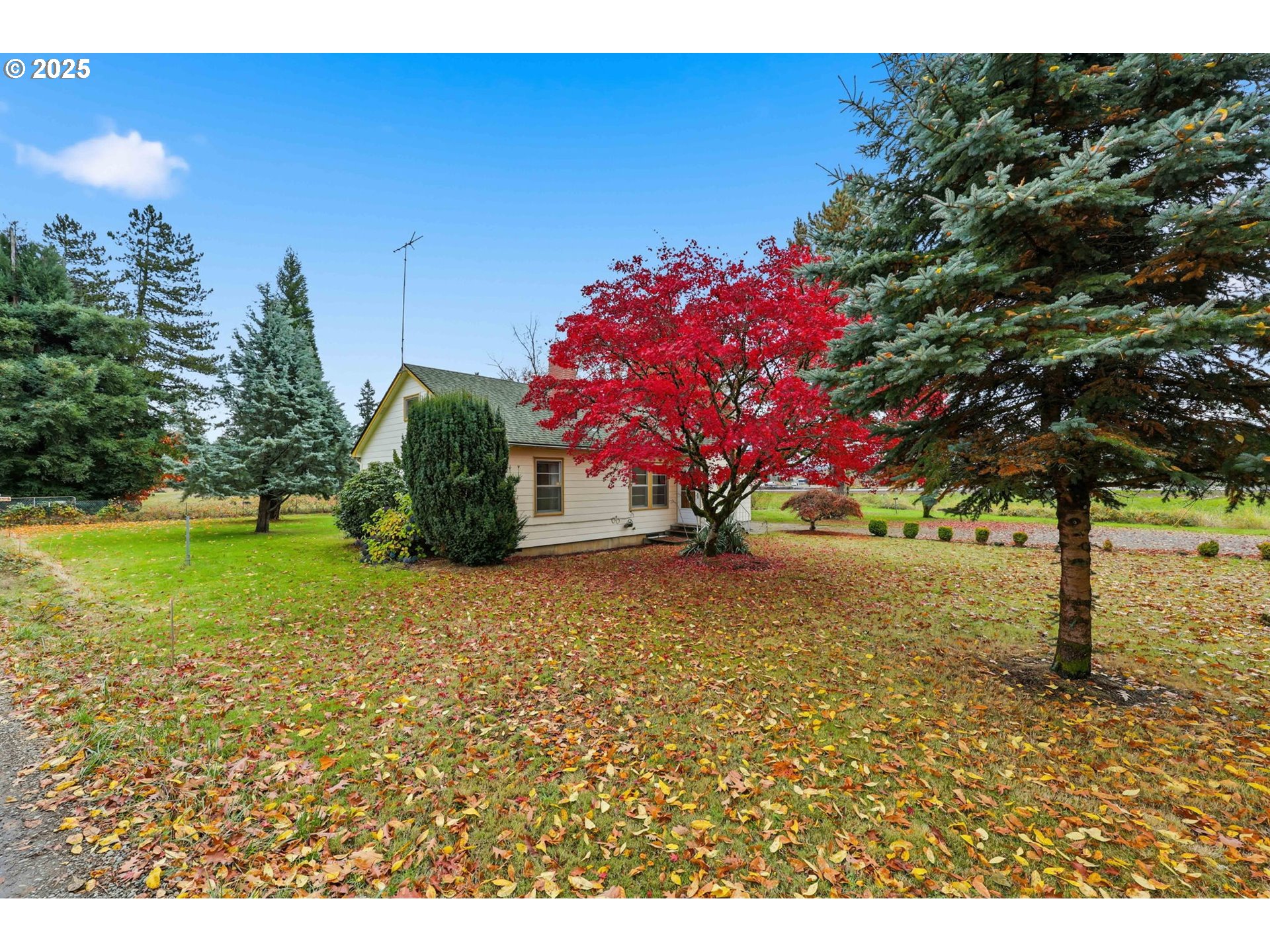 11040 Southeast McCreary Lane Boring, OR 97009 - Photo 37 of 38