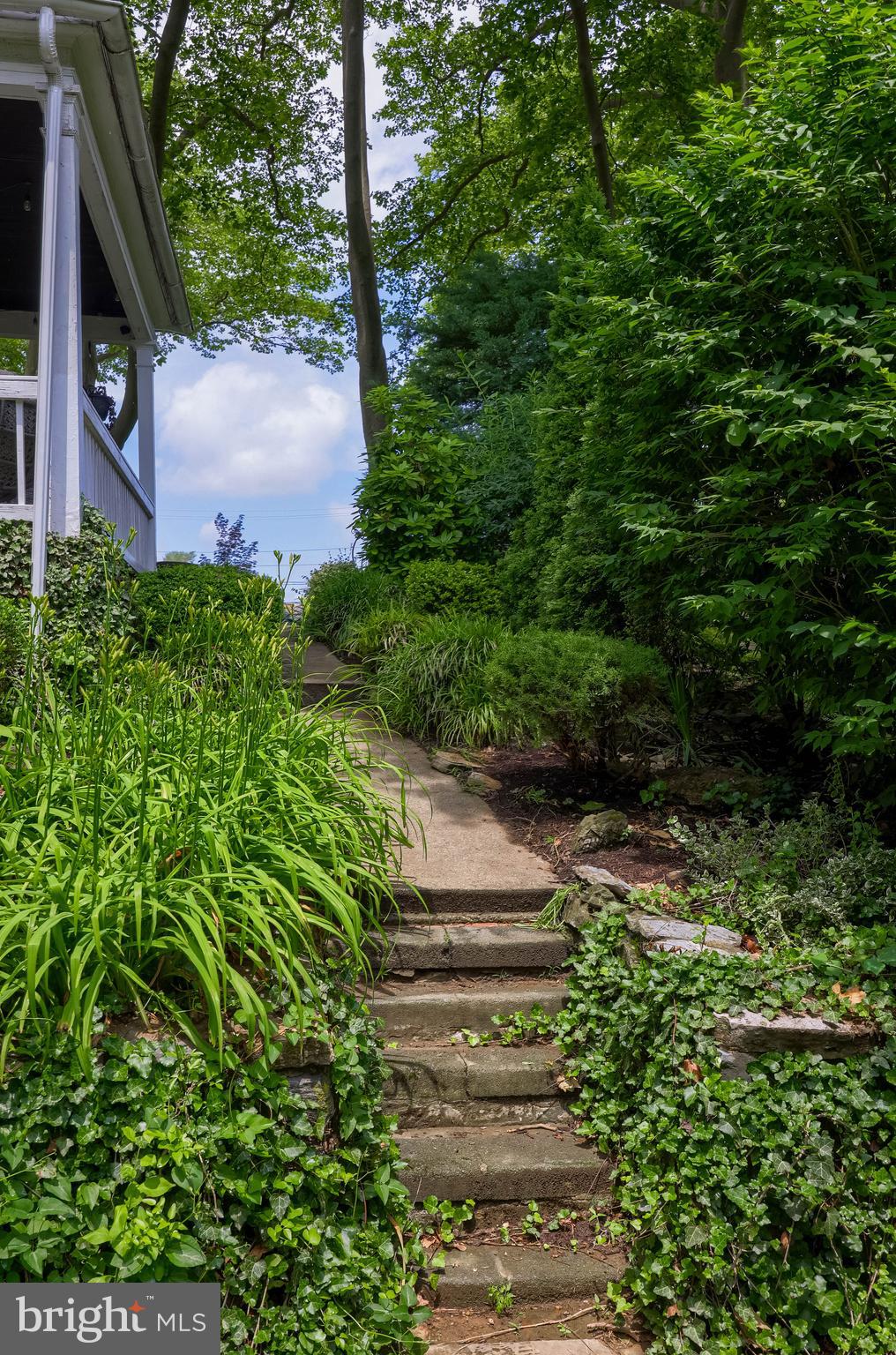 415 Sunset Road Reading, PA 19611 - Photo 7 of 34 a view of a yard with plants and large trees