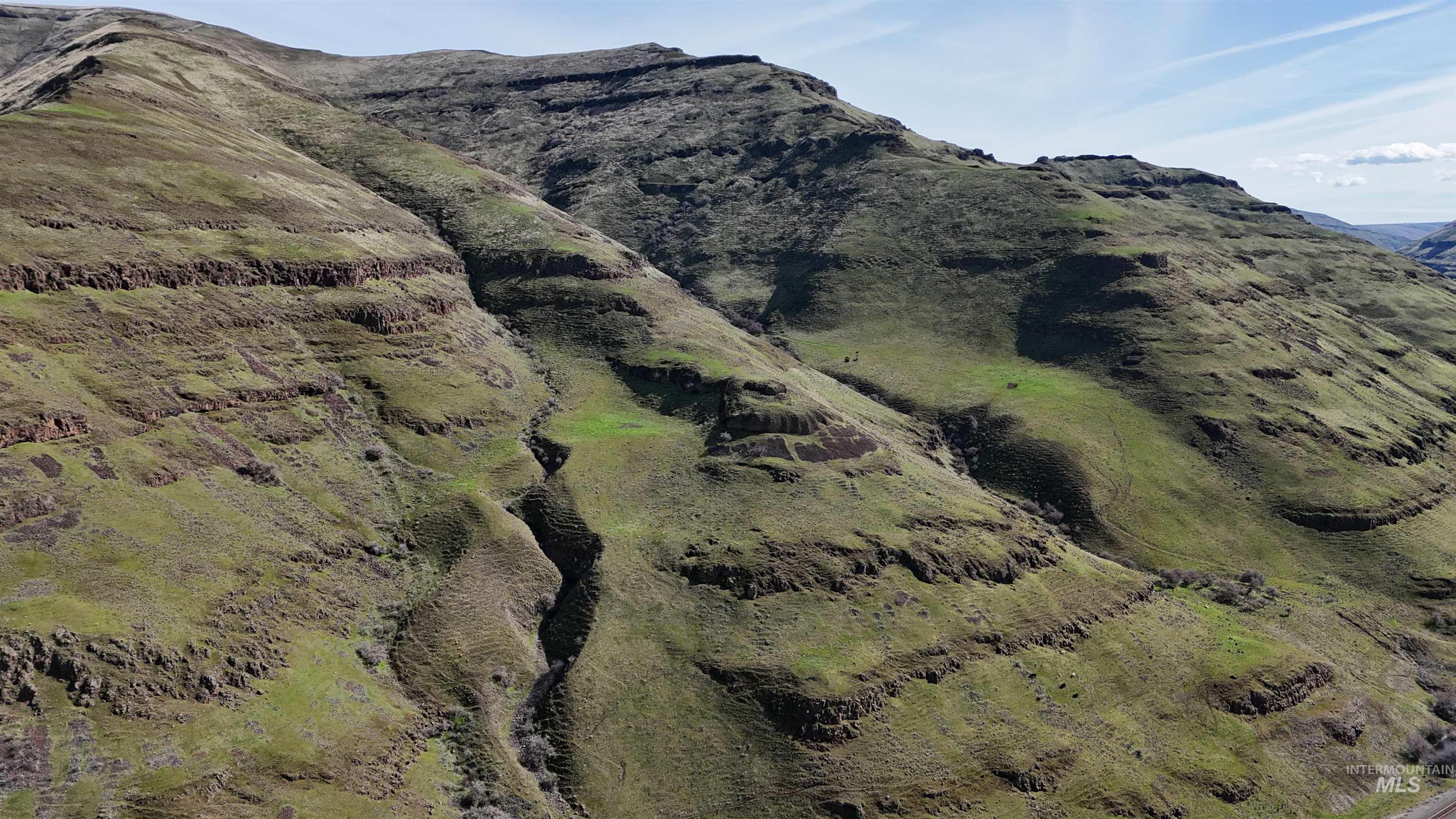 Tbd Tbd Wawawai Road Colton, WA 99113 - Photo 5 of 11 View of mountain backdrop
