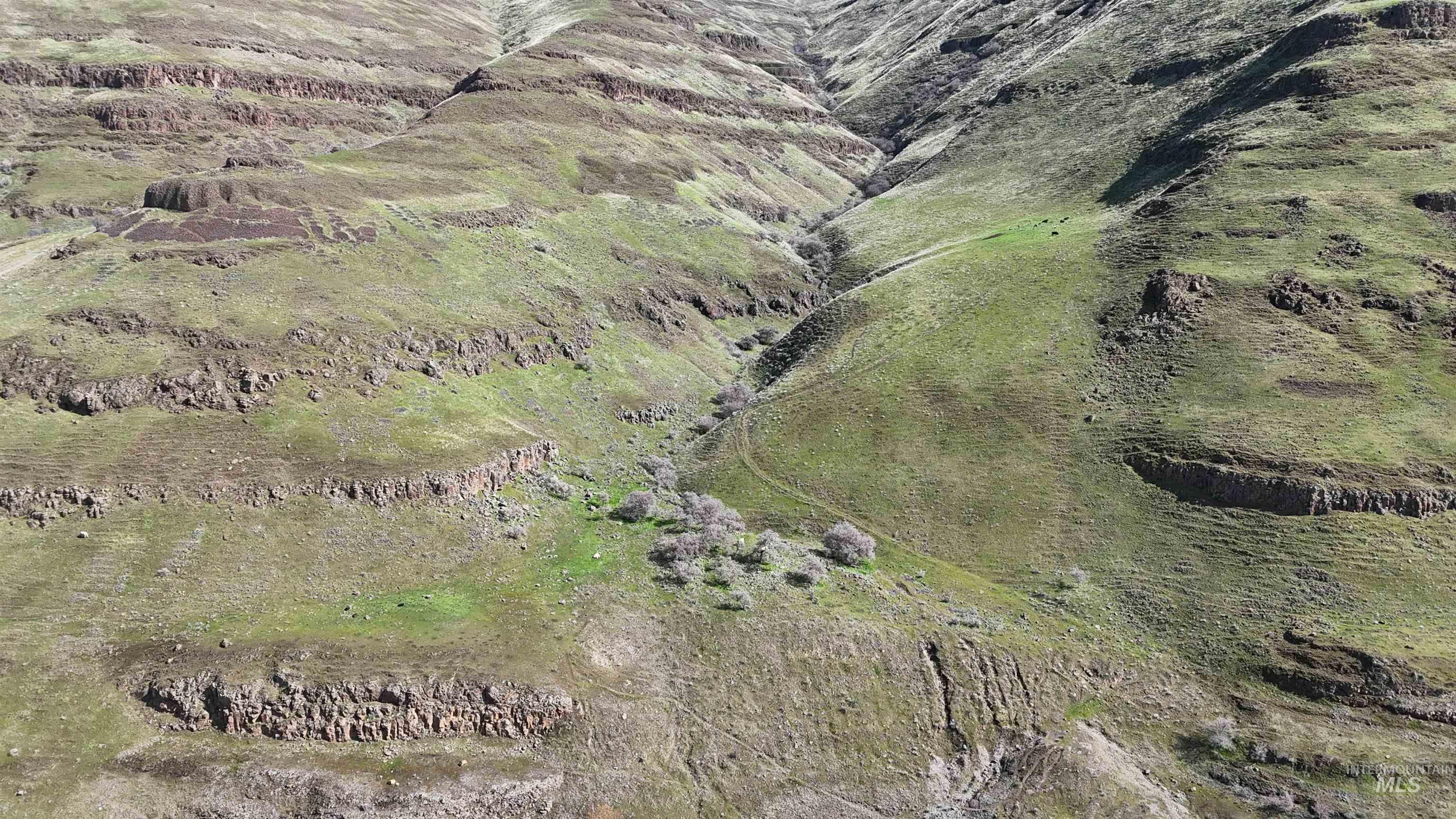 Tbd Tbd Wawawai Road Colton, WA 99113 - Photo 9 of 11 Aerial view of sparsely populated area