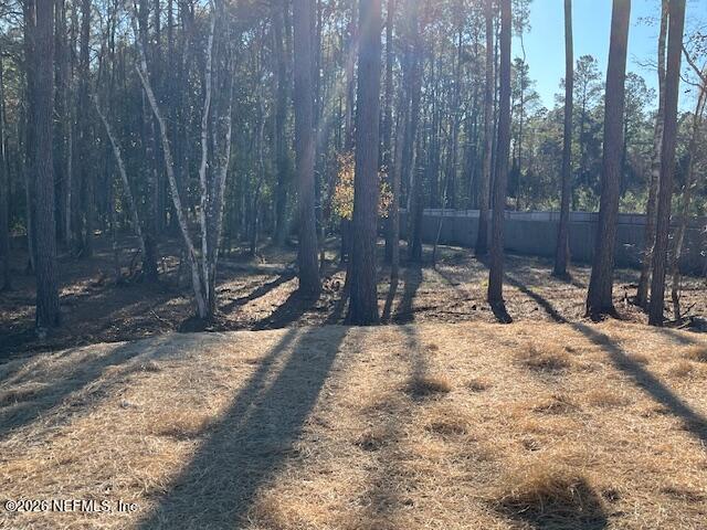 28711 Tracy Road Hilliard, FL 32046 - Photo 31 of 33 IMG_7162