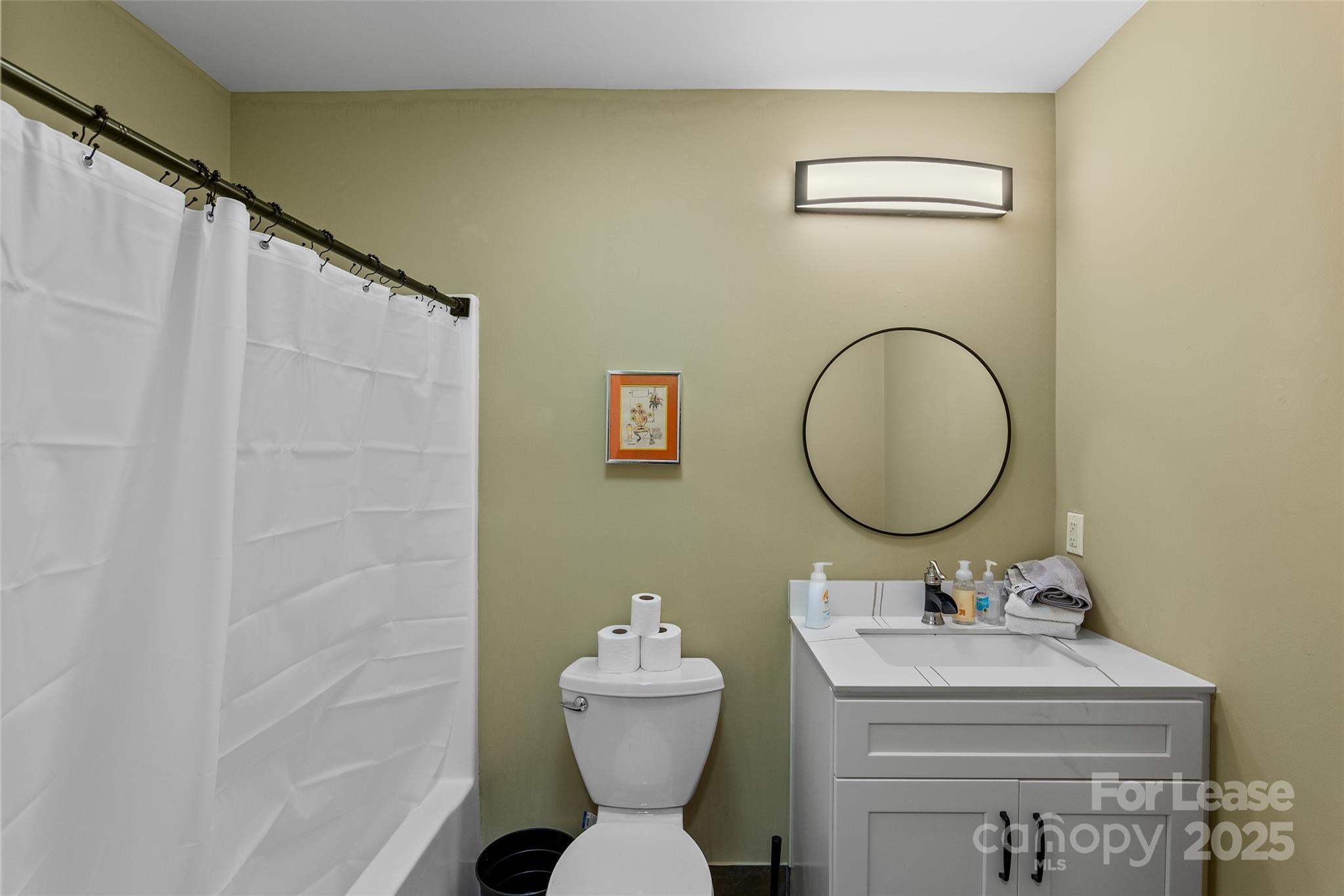 5 Elmore Street Asheville, NC 28804 - Photo 21 of 37 a bathroom with a sink mirror toilet and a shower