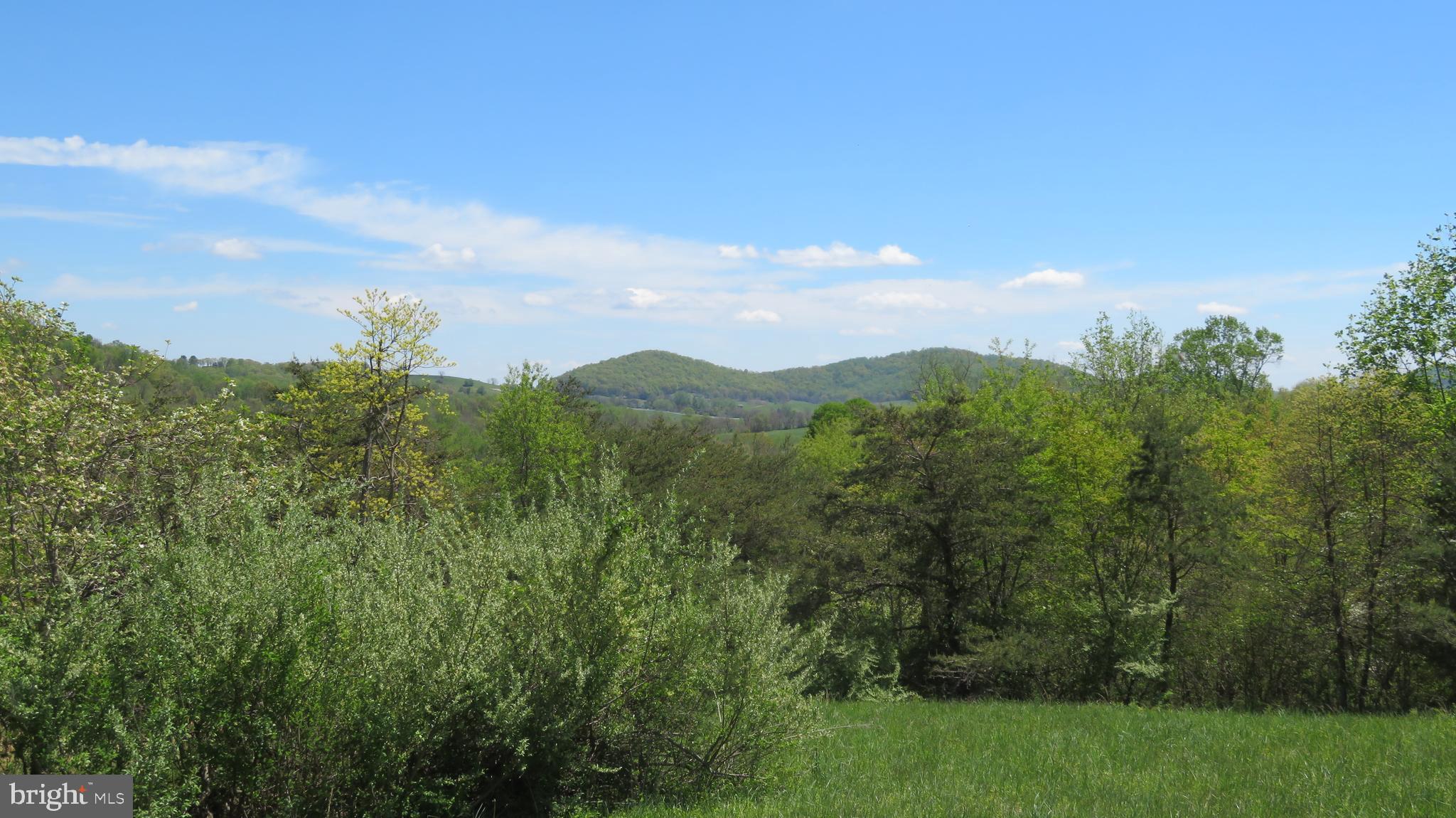 0 Fodderstack Road Washington, VA 22747 - Photo 14 of 32 Pasture with view