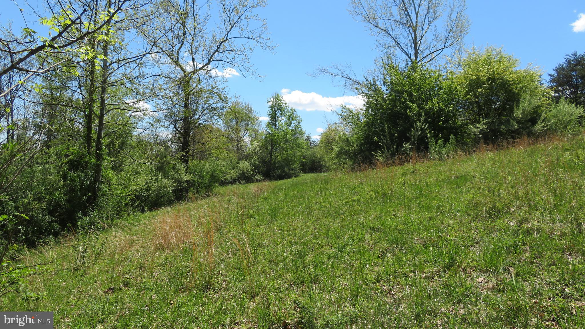 0 Fodderstack Road Washington, VA 22747 - Photo 3 of 32 Pasture area