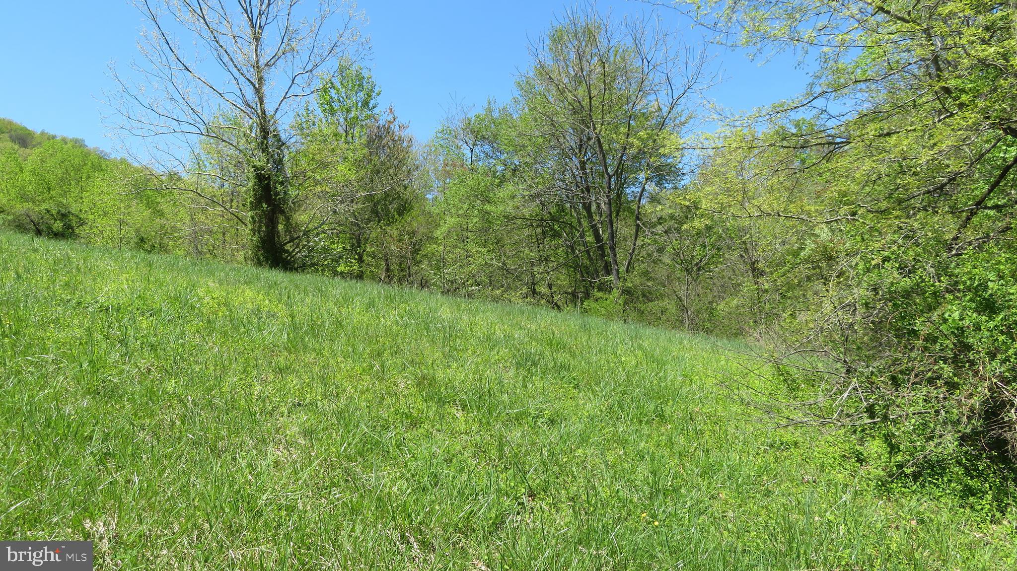 0 Fodderstack Road Washington, VA 22747 - Photo 4 of 32 Pasture area