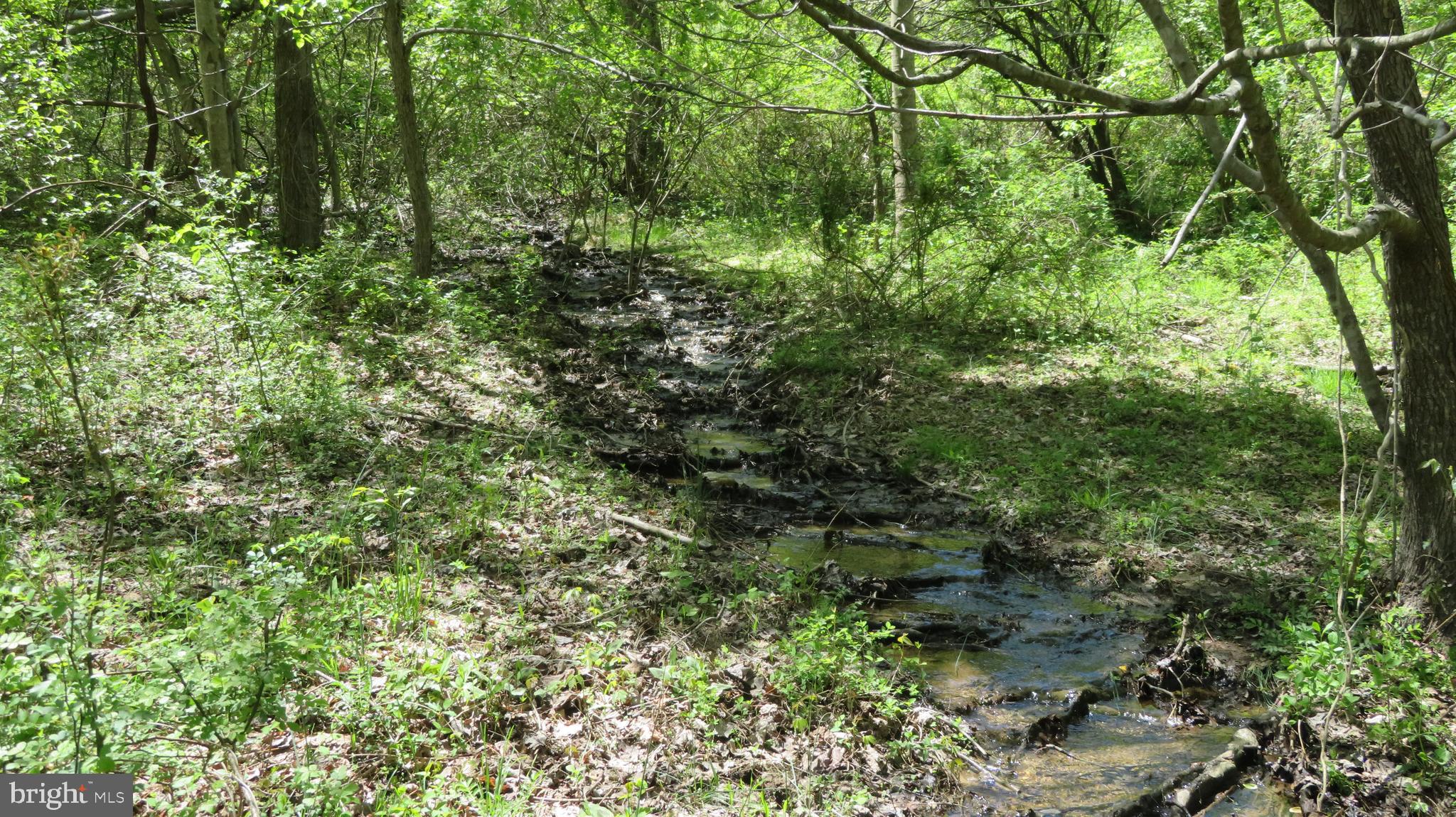 0 Fodderstack Road Washington, VA 22747 - Photo 8 of 32 Stream leaving pond