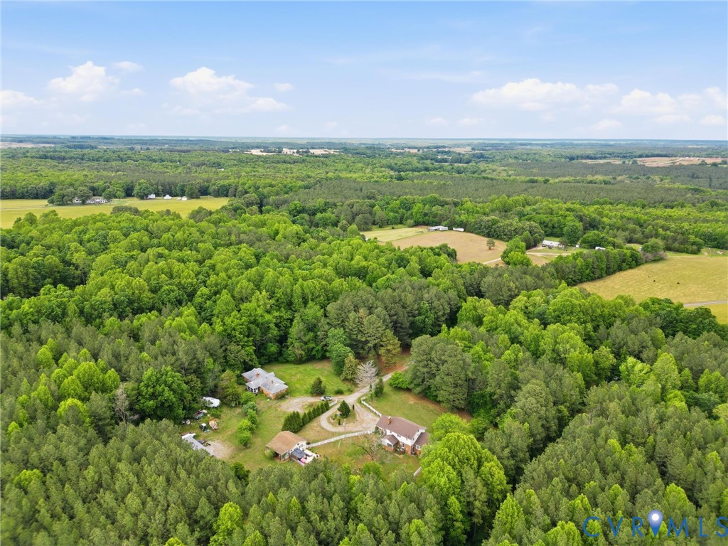 11016 Pridesville Road Amelia Court House, VA 23002 - Photo 53 of 54 Expansive wooded acreage featuring multiple reside