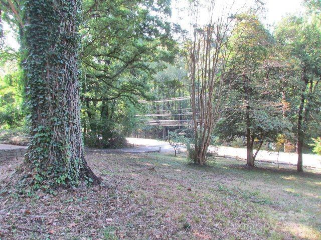 3465 Lynn Road Tryon, NC 28782 - Photo 10 of 31 a view of a tree in the middle of a yard