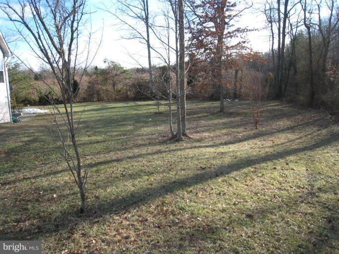 11801 Thrift Road Clinton, MD 20735 - Photo 4 of 30 Back yard