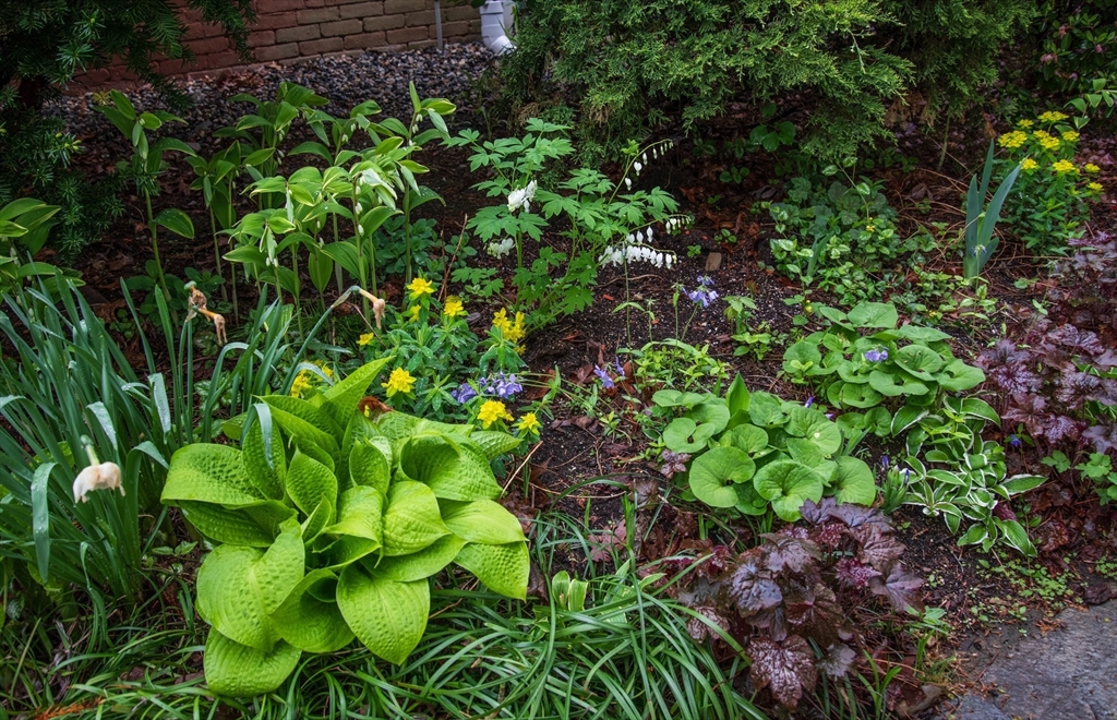 88 Round Hill Road, Unit 4 Northampton, MA 01060 - Photo 27 of 32 Gallery Image 27