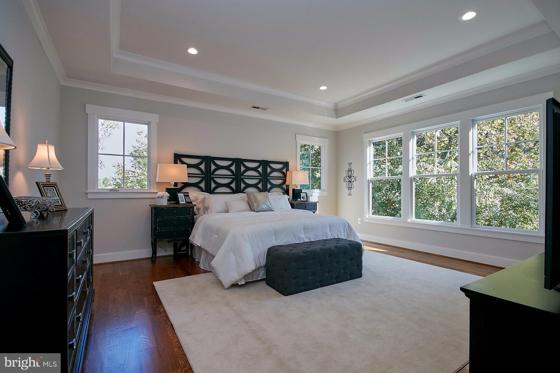 3313 John Marshall Drive Arlington, VA 22207 - Photo 15 of 30 Bright Master Bedroom
