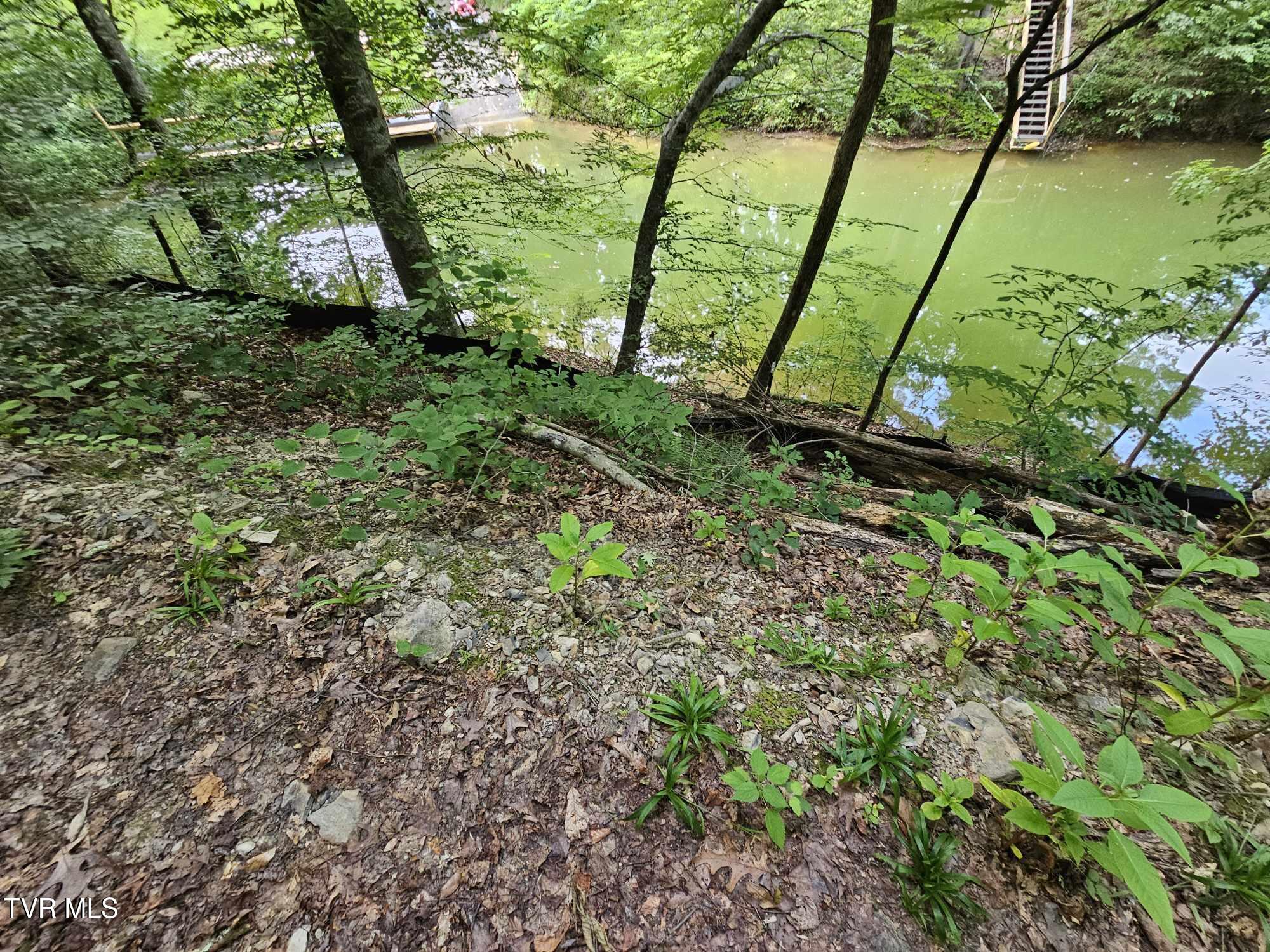 2264 Devault Bridge Road Piney Flats, TN 37686 - Photo 18 of 29 b1551168-0681-4958-be40-311c2a71f3c0