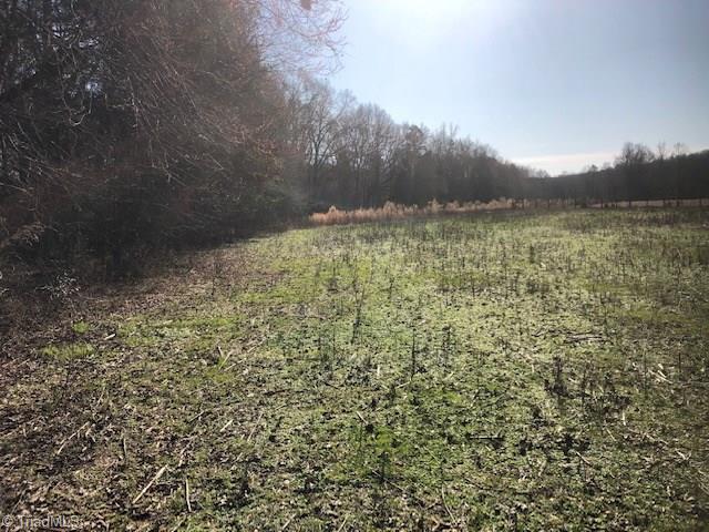 0 Yadkin Valley Road Advance, NC 27006 - Photo 4 of 5 Gallery Image 4
