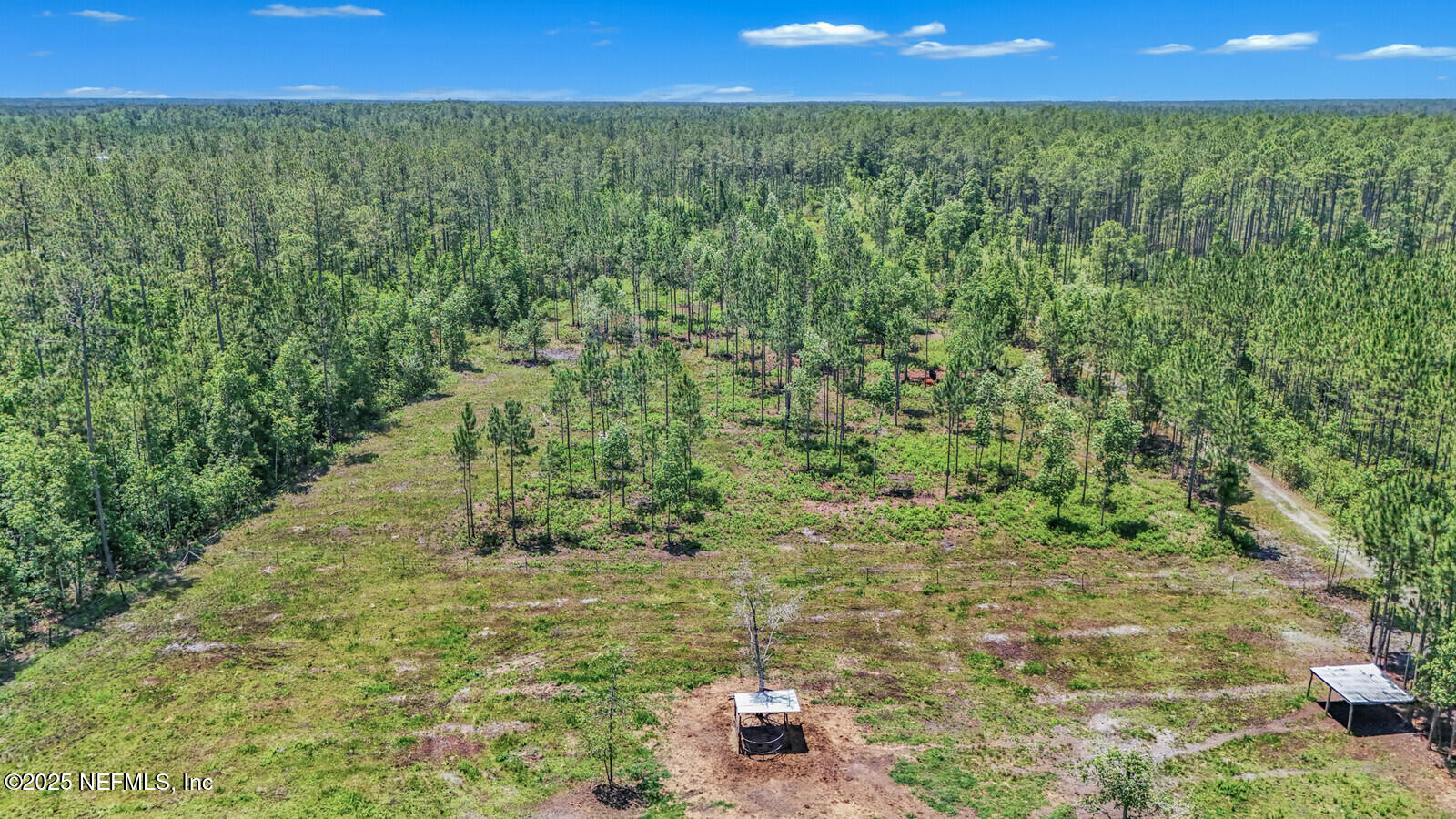 34390 Mitigation Trail Callahan, FL 32011 - Photo 57 of 70 Ariel photo