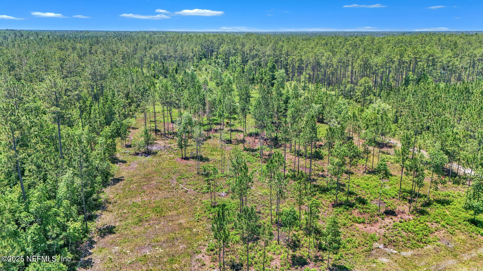 34390 Mitigation Trail Callahan, FL 32011 - Photo 58 of 70 Ariel photo