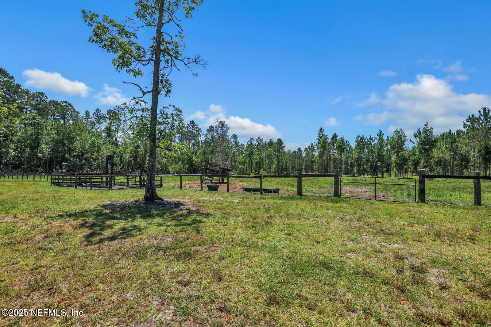 34390 Mitigation Trail Callahan, FL 32011 - Photo 67 of 70 Lot Photo