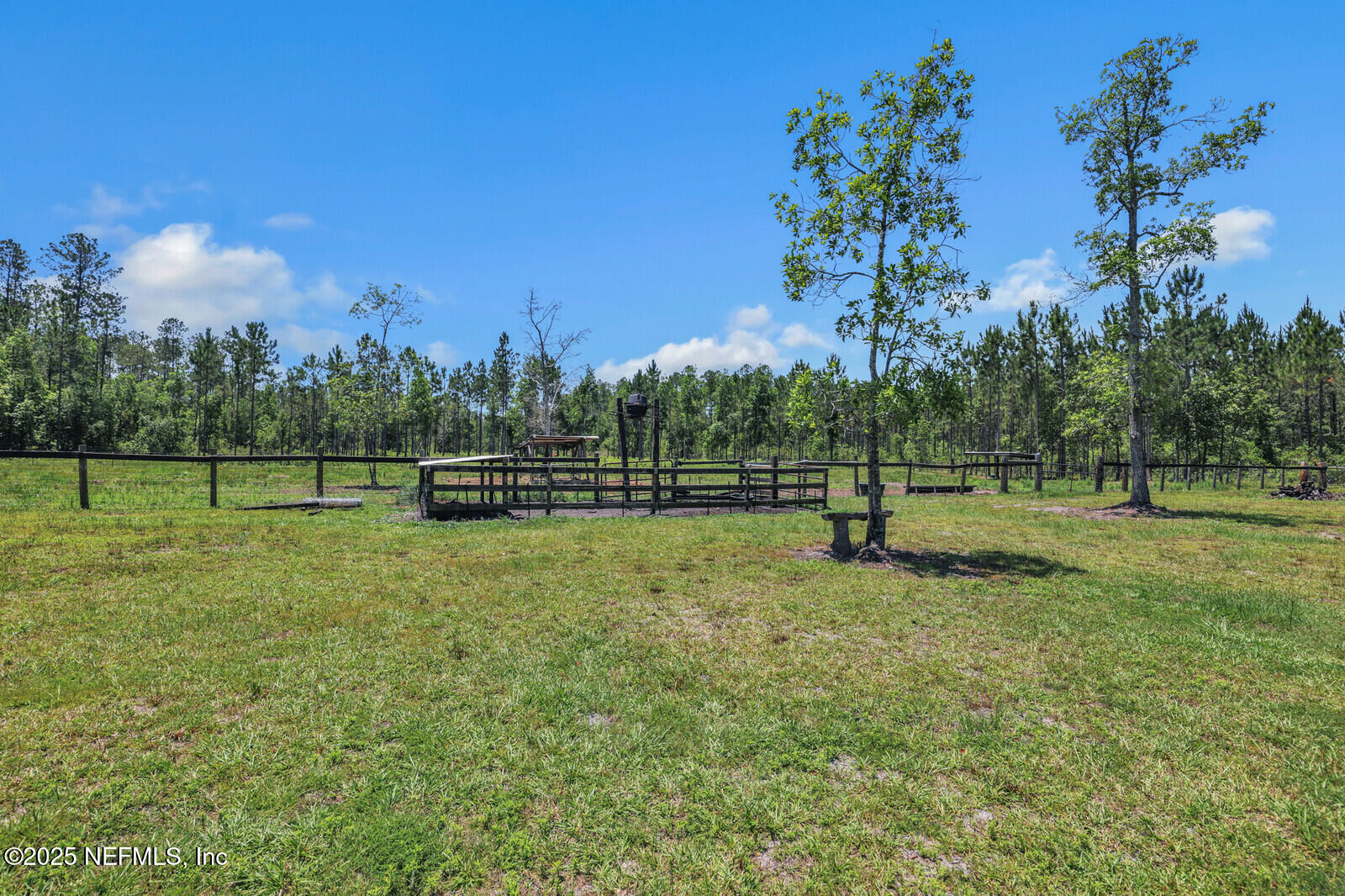 34390 Mitigation Trail Callahan, FL 32011 - Photo 68 of 70 Lot Photo