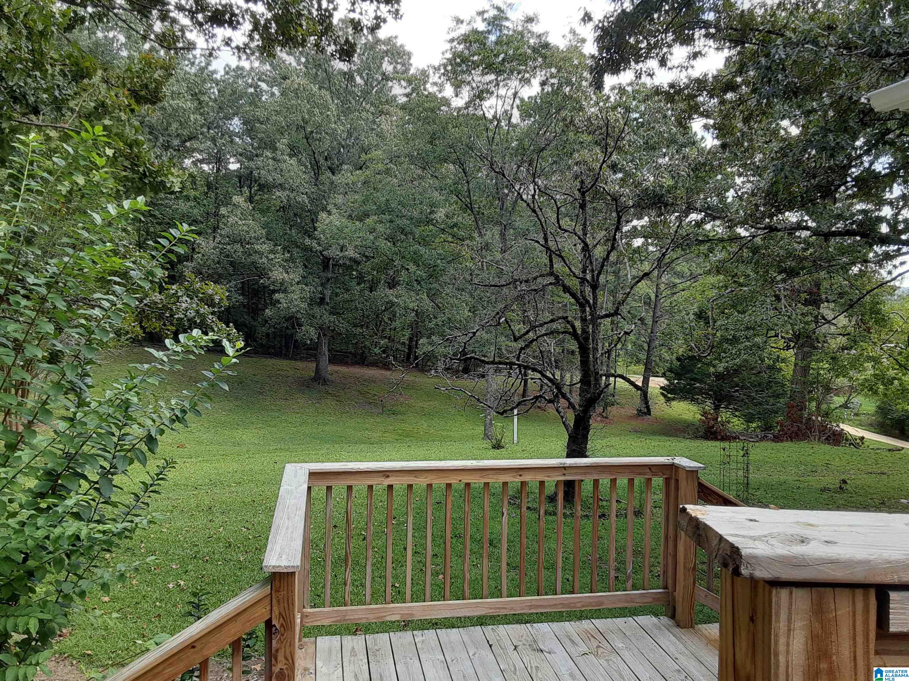 7730 Dollar Road Trussville, AL 35173 - Photo 50 of 57