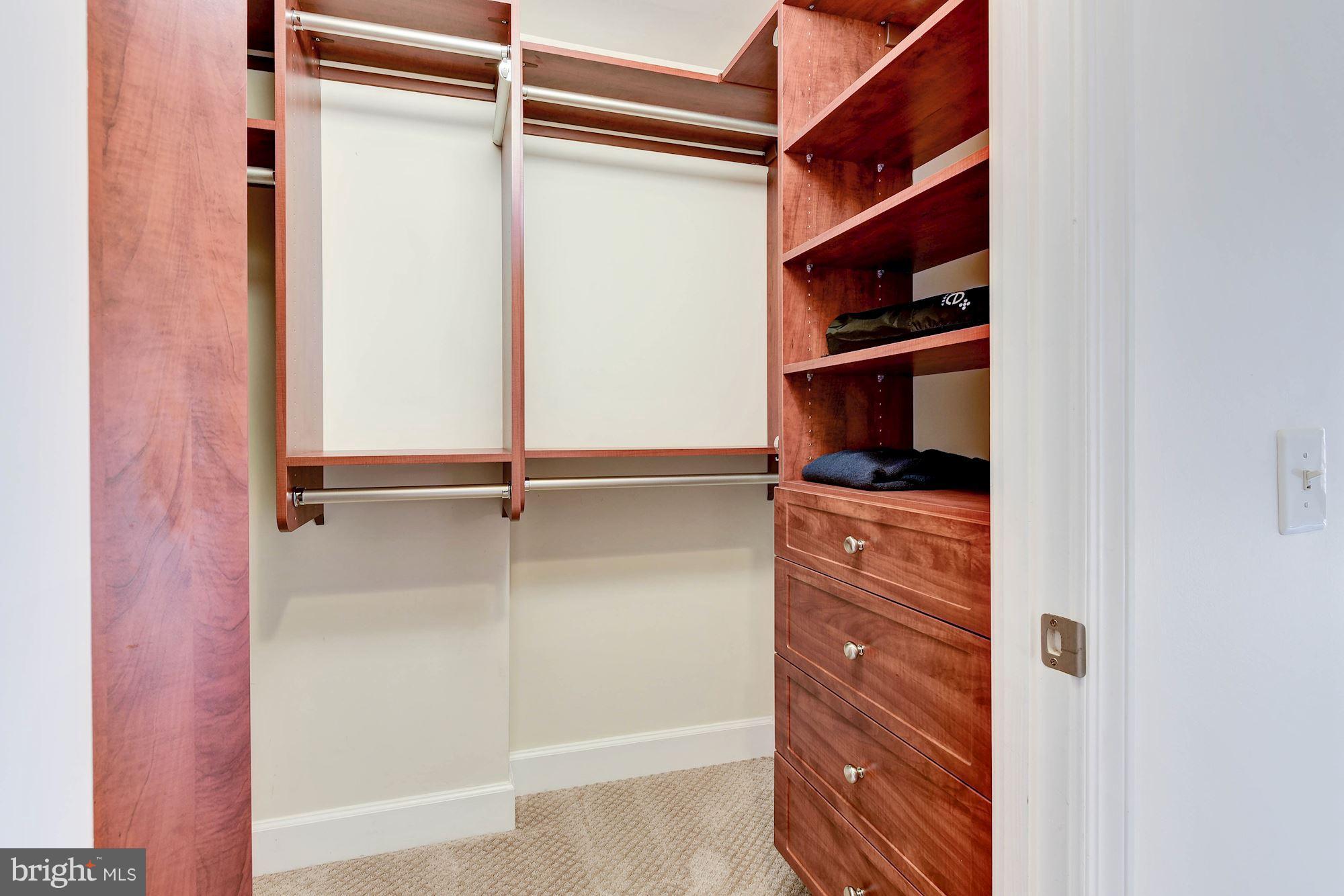 3600 South Glebe Road, Unit 428W Arlington, VA 22202 - Photo 17 of 47 Walk in closet with built in storage