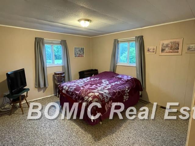 7384 Busch Road Birch Run, MI 48415 - Photo 6 of 17