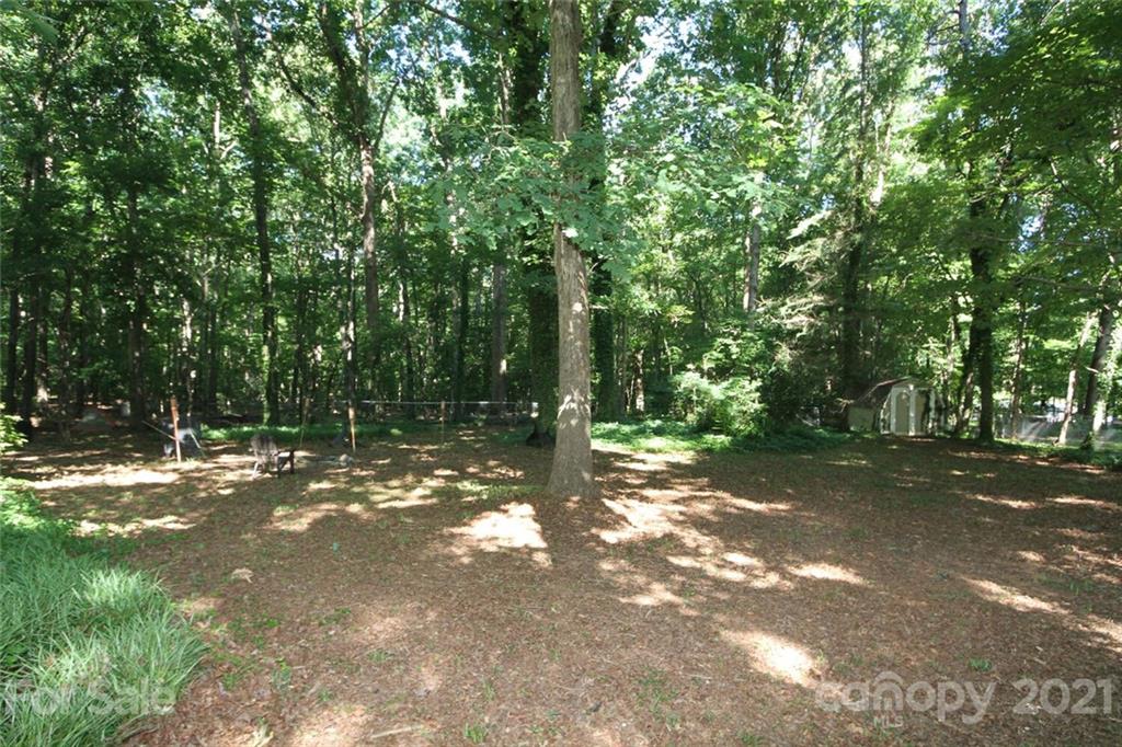 6204 Potter Road Matthews, NC 28104 - Photo 28 of 31 a view of a tree with a trees