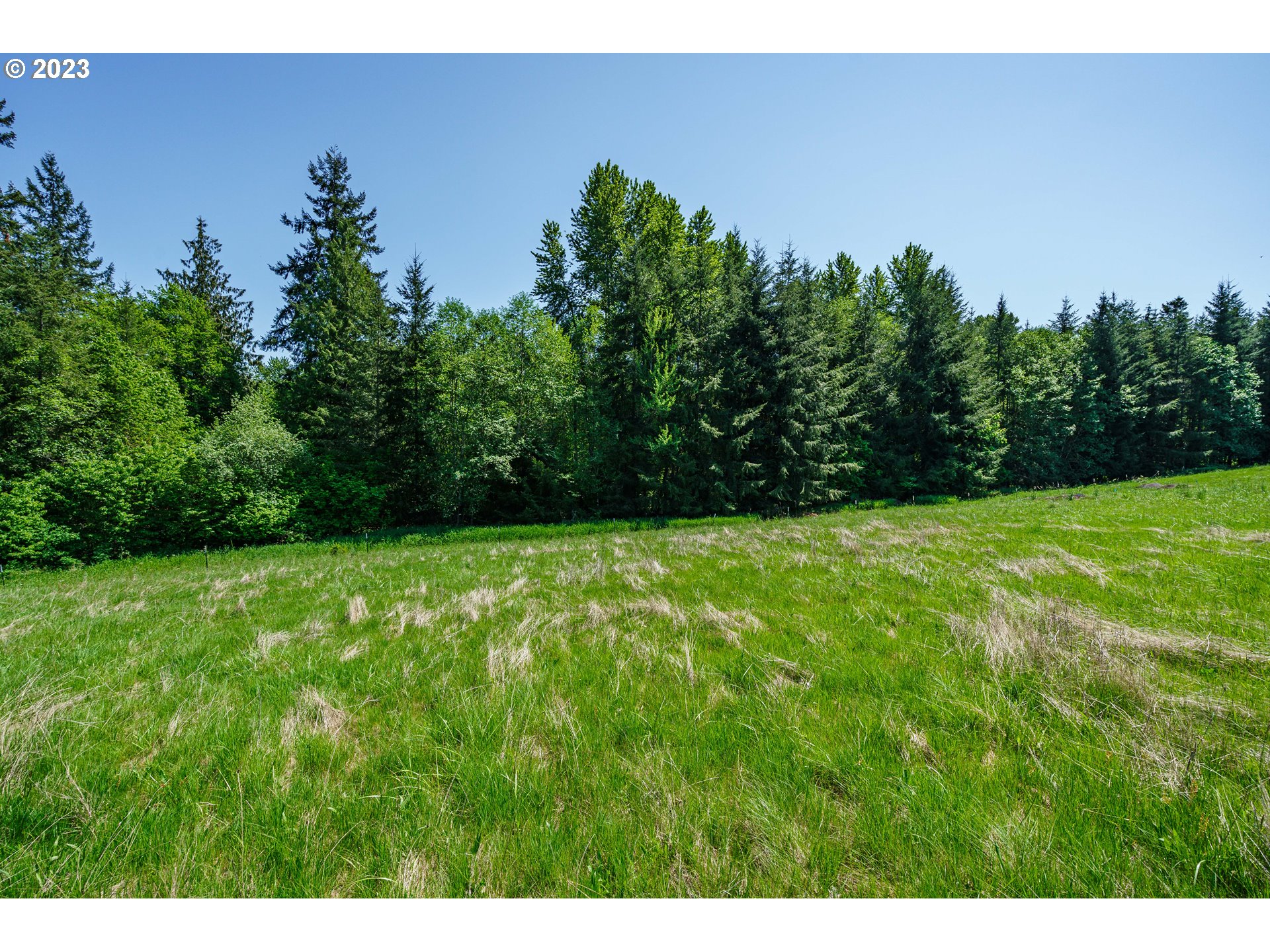 0 Carnine Road, Unit 4 Castle Rock, WA 98611 - Photo 4 of 9 Gallery Image 4