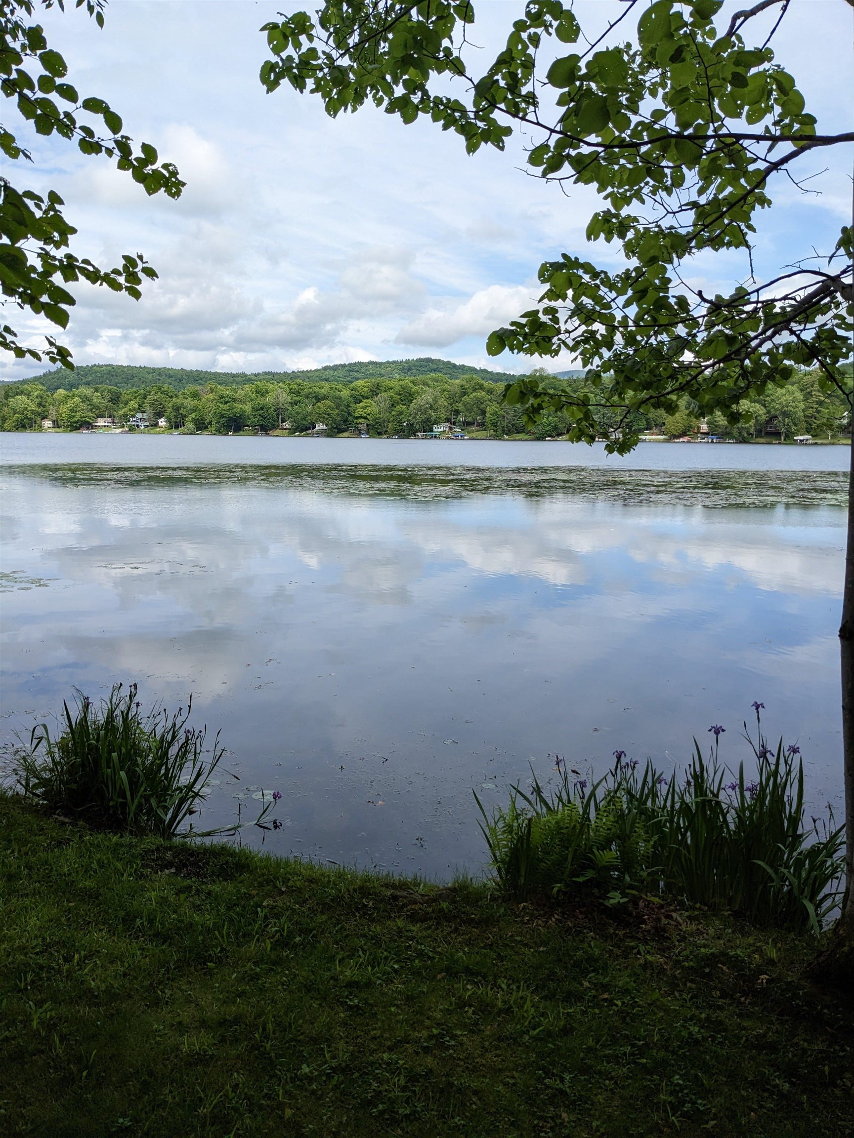 95 Sevigny Road Castleton, VT 05735 - Photo 6 of 22