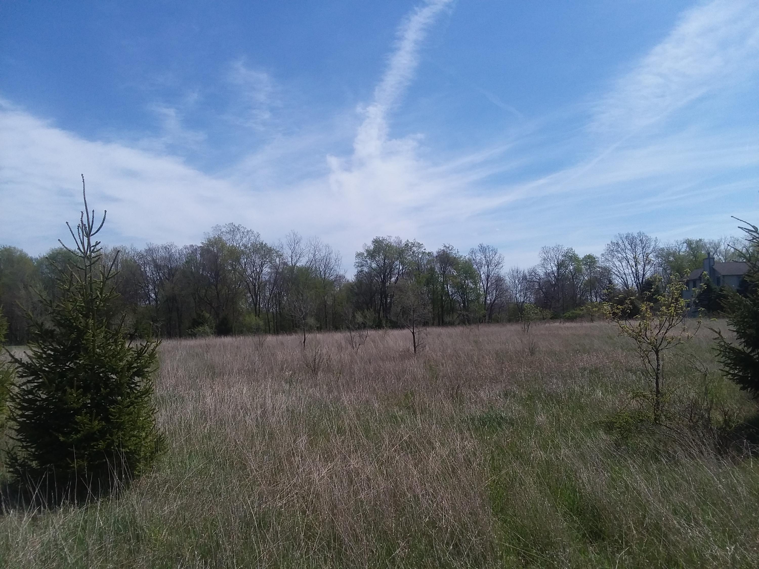 Lot 7 Old Barn Road Freeport, MI 49325 - Photo 2 of 6 20210502_122945