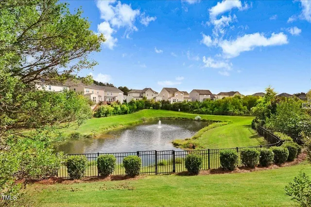 a view of a garden with plants and a bench