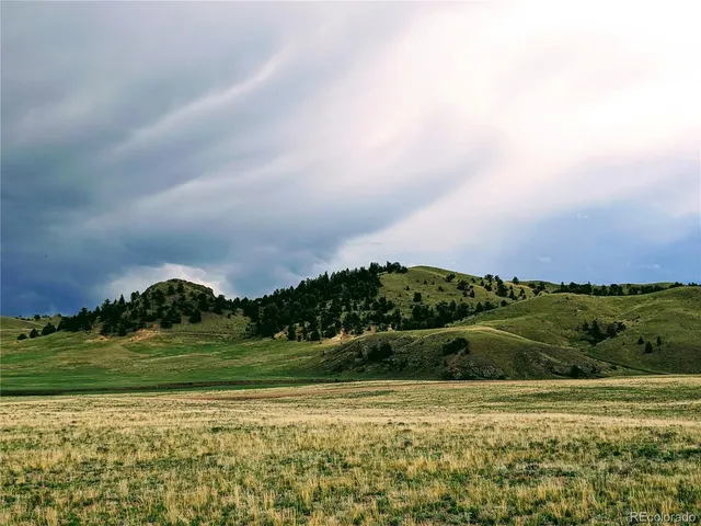 a view of a grassy field with mountains in the background