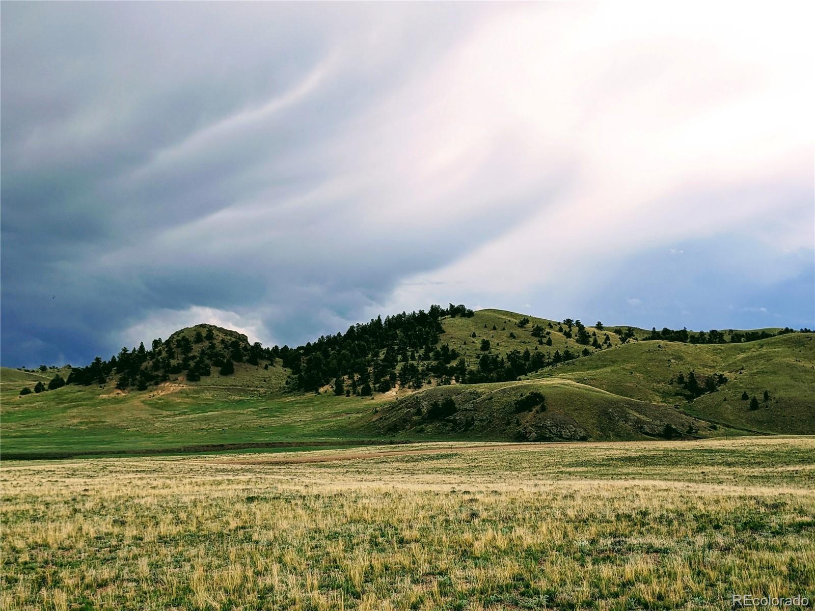 a view of a grassy field with mountains in the background