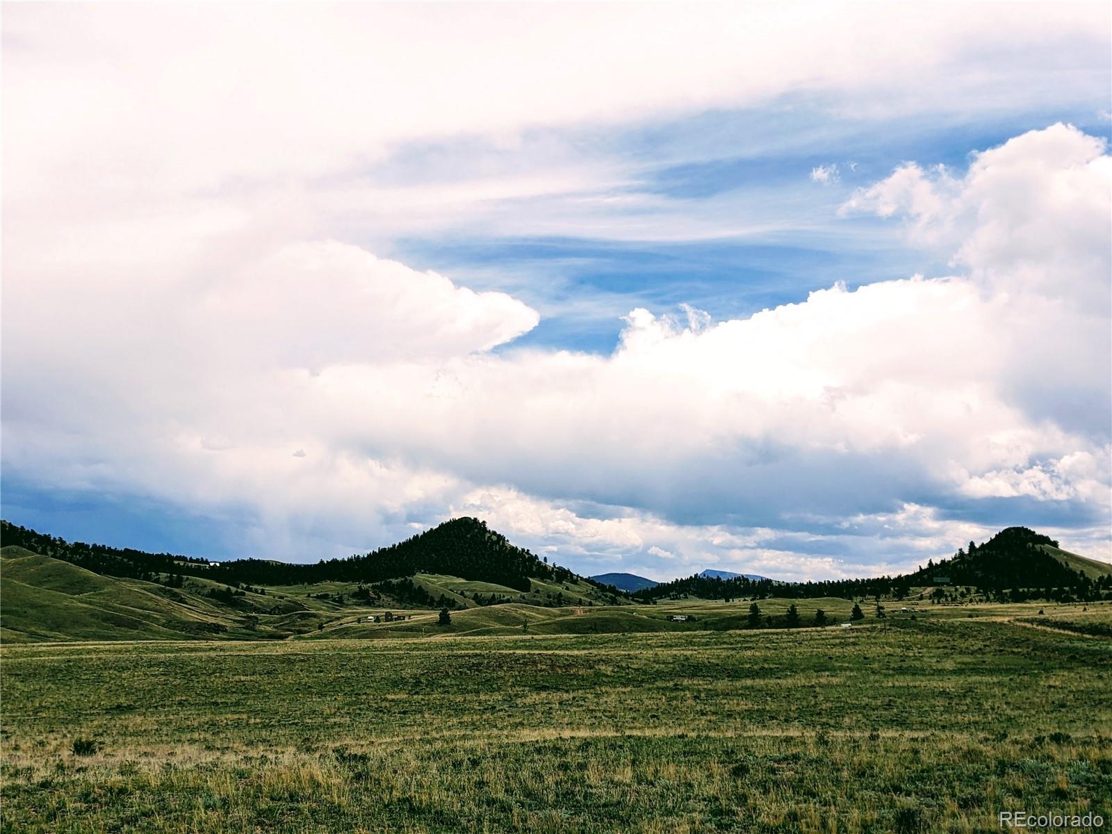 2667 Cahokia Road Hartsel, CO 80449 - Photo 14 of 38 a view of a big green field with mountains in the background