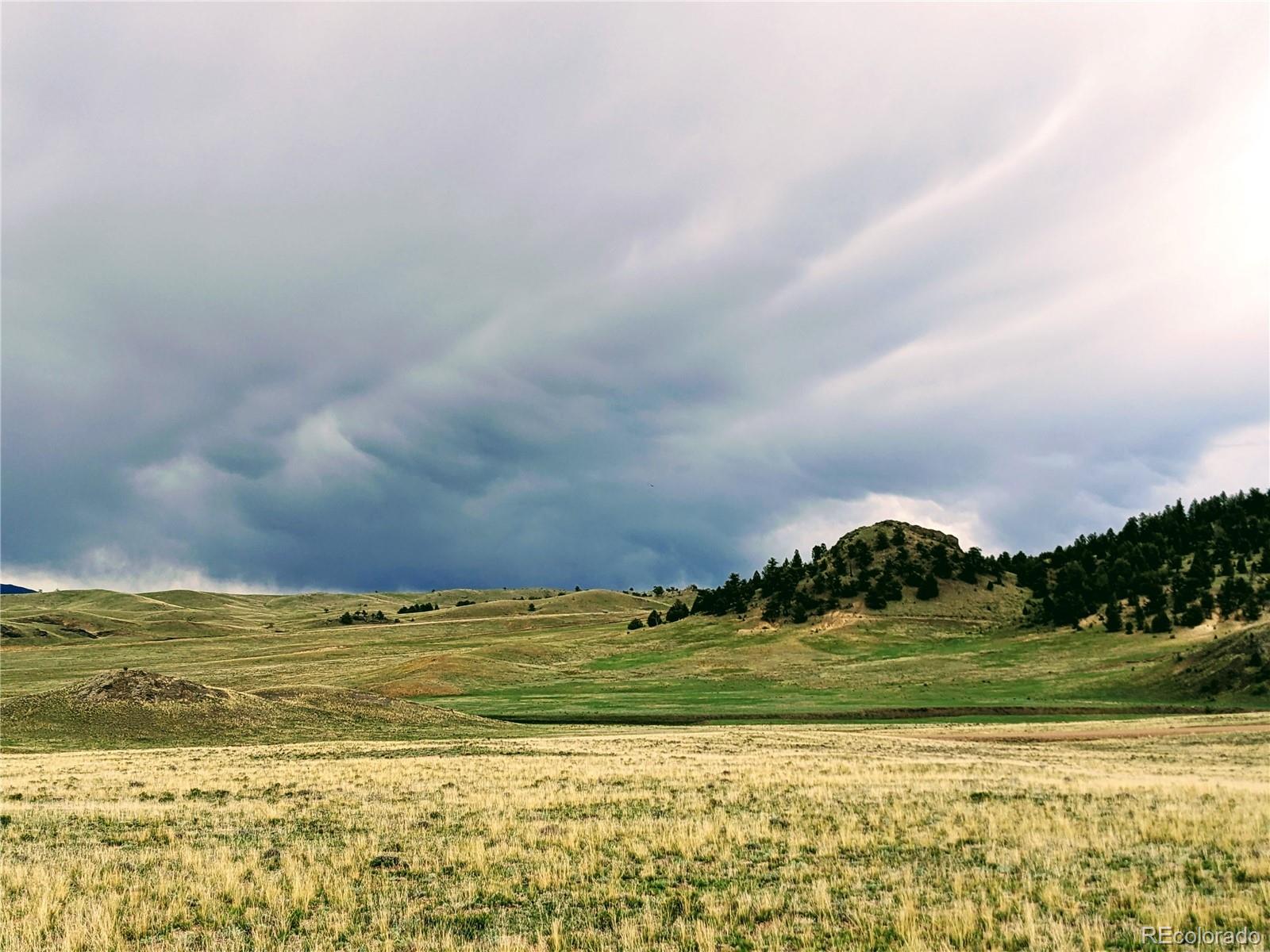 2667 Cahokia Road Hartsel, CO 80449 - Photo 17 of 38