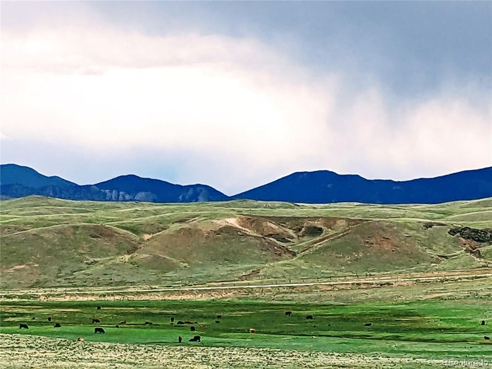 2667 Cahokia Road Hartsel, CO 80449 - Photo 18 of 38 a view of an ocean from a yard