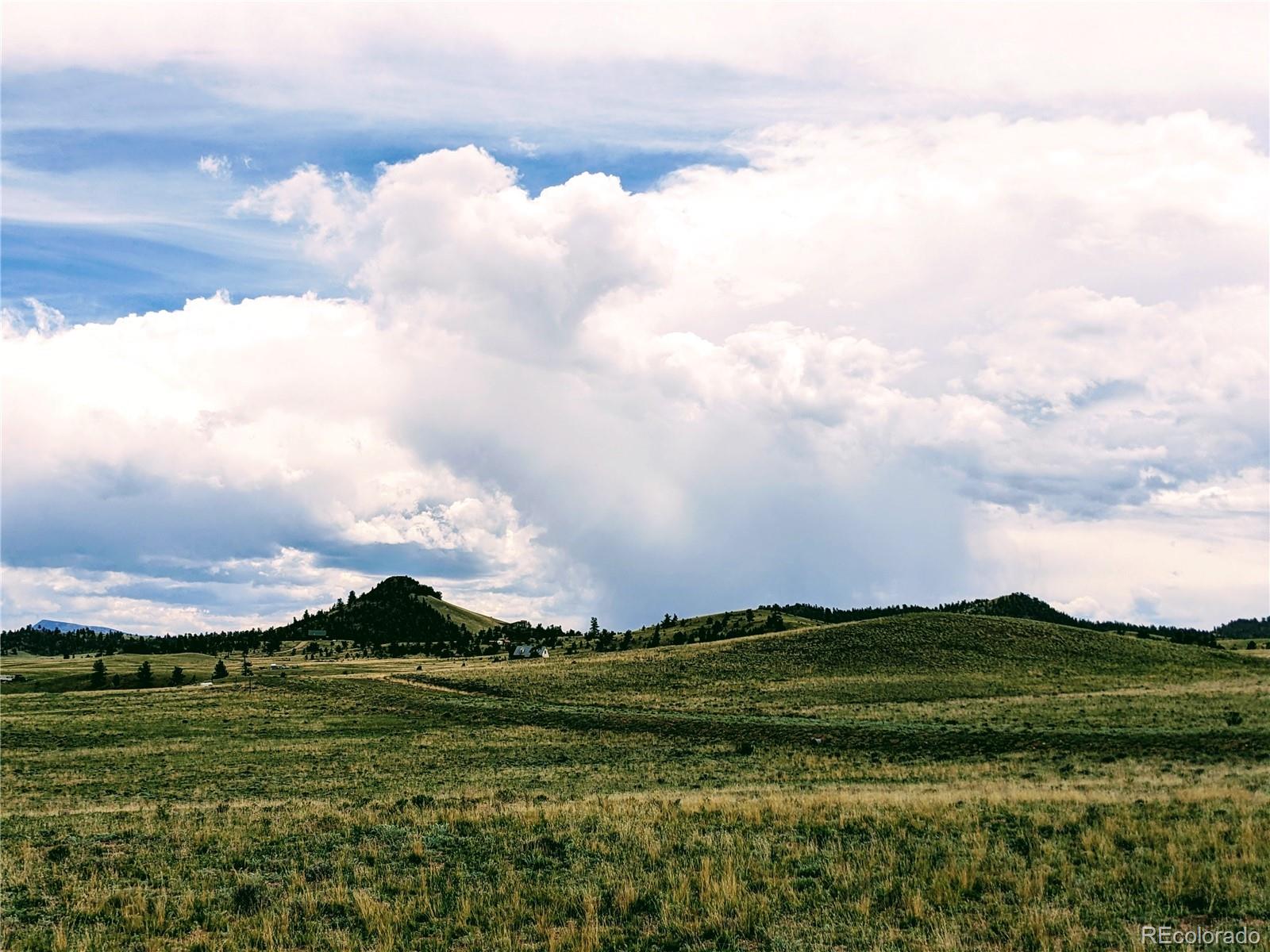 2667 Cahokia Road Hartsel, CO 80449 - Photo 2 of 38 a view of grassy field with mountains