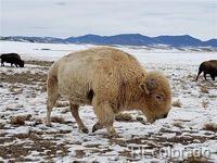 2667 Cahokia Road Hartsel, CO 80449 - Photo 24 of 38 a view of sky view