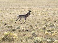 2667 Cahokia Road Hartsel, CO 80449 - Photo 25 of 38 a room with a shower