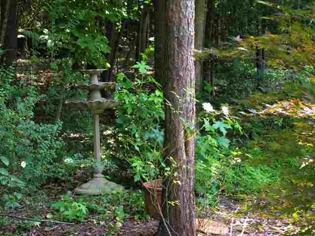 226 Meldau Road Seneca, SC 29678 - Photo 18 of 22 Gallery Image 18