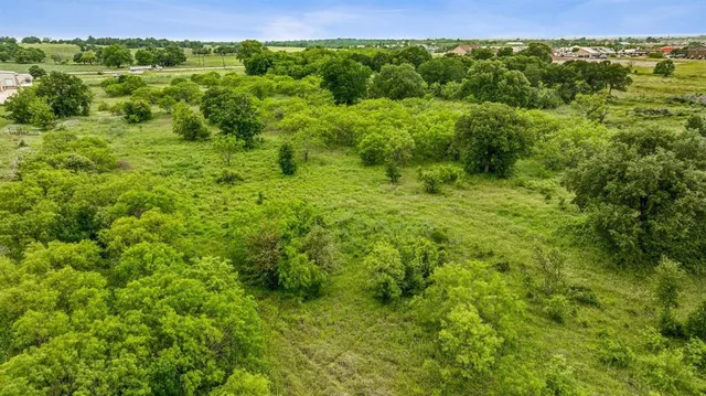 a view of a lush green forest with a lush green forest
