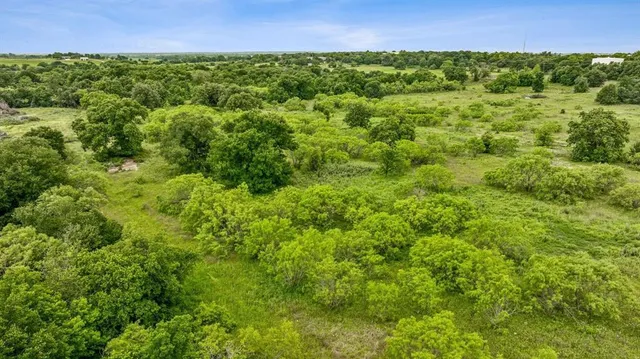 a view of a lush green field with a building in the background
