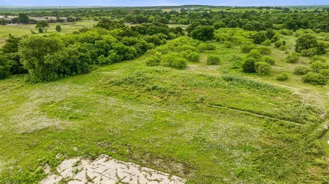a view of a big yard with plants and large trees