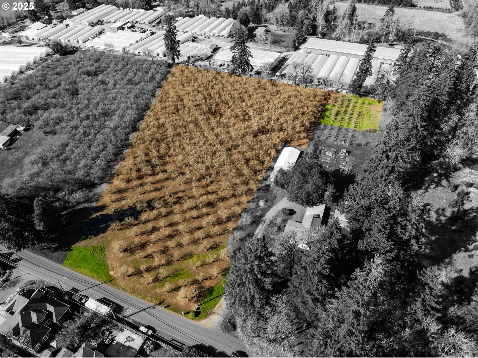 East Beacon Drive Junction City, OR 97448 - Photo 13 of 22